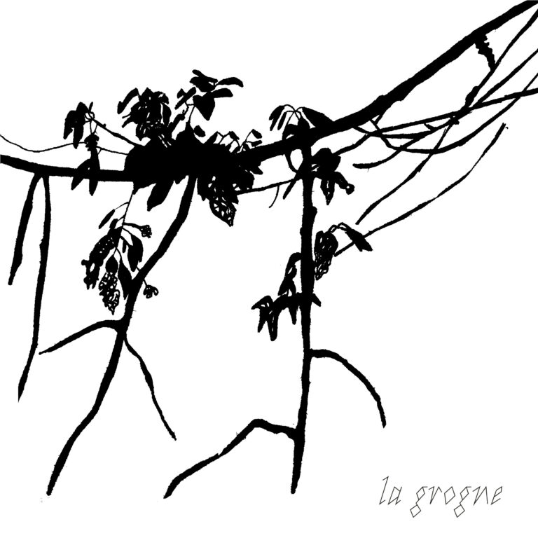 la grogne2-LucieLombard <span></span>